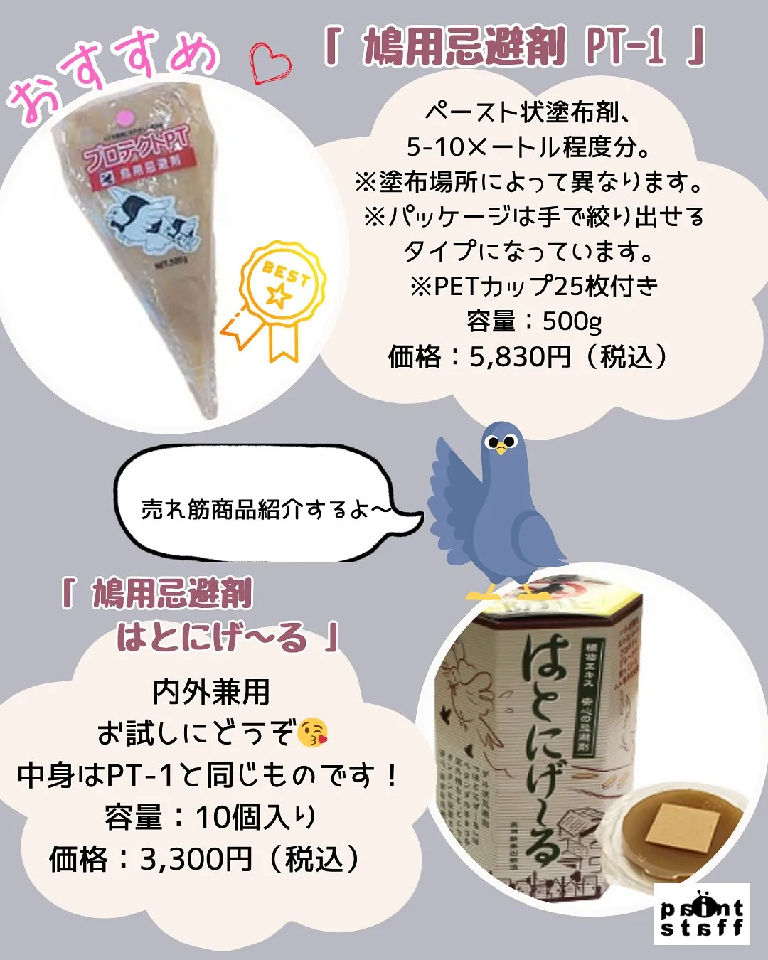 🕊️「またフンしてるーー!!」