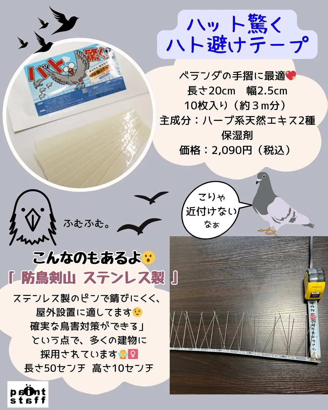 🕊️「またフンしてるーー!!」